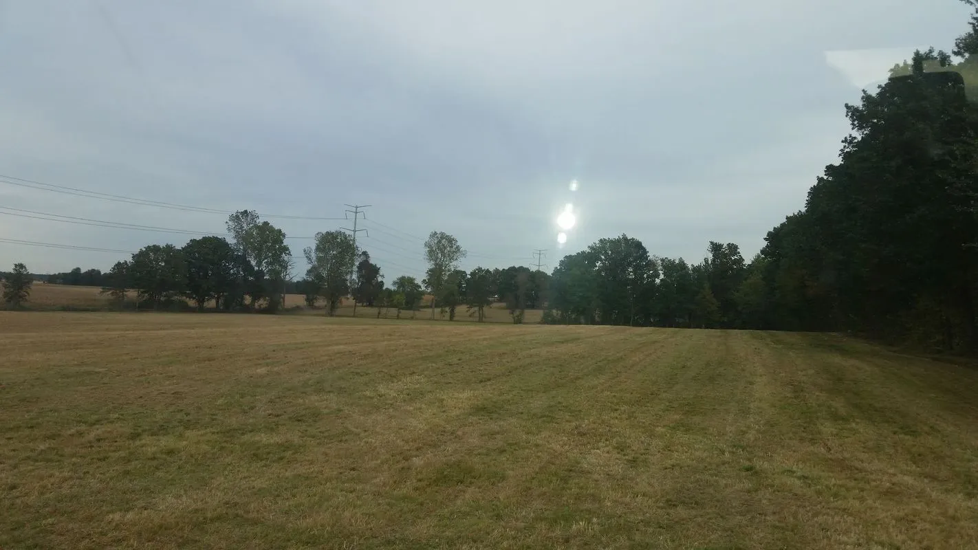 Specialty land services including clearing, grading and mowing by KBK Landscaping (photo 5)
