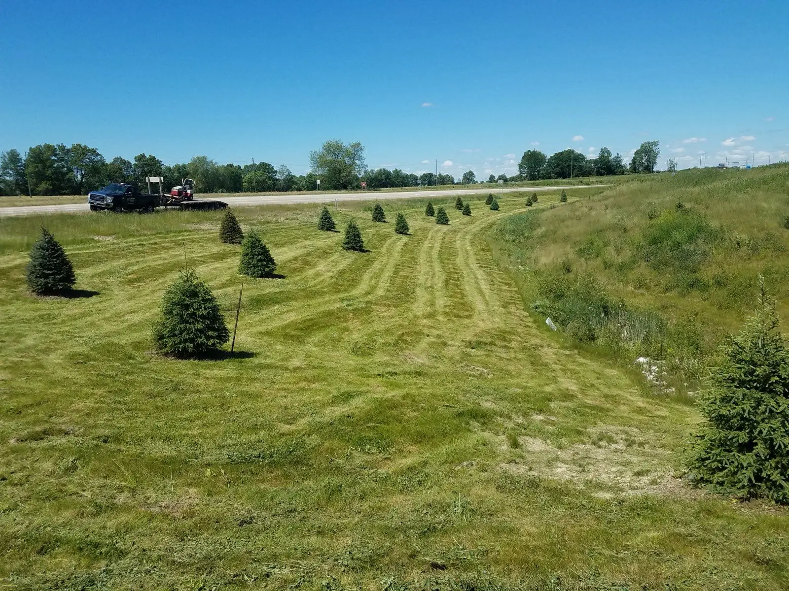 Expansive KBK Landscaping field with young trees