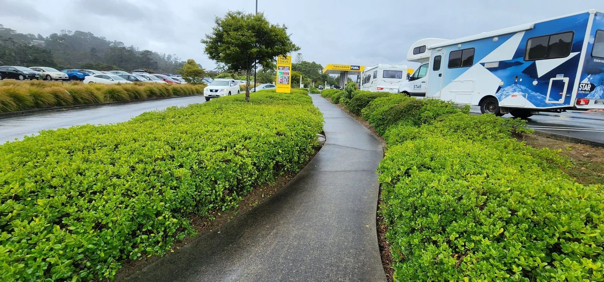 Manicured hedge-lined walkway on a well-maintained Milan commercial property