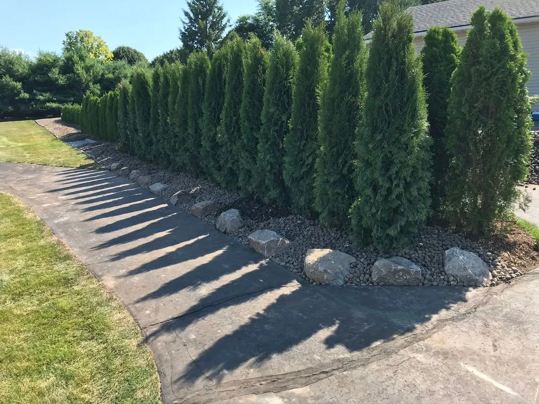 Commercial lawn care and landscaping project by KBK Landscaping (photo 32)