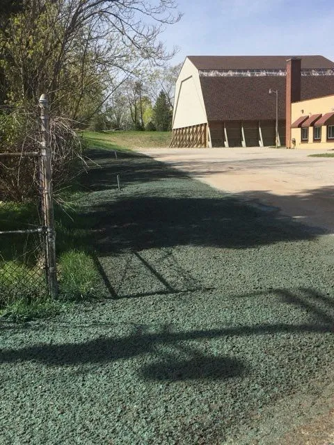 Established lawn grown from professional straw seeding on an open property