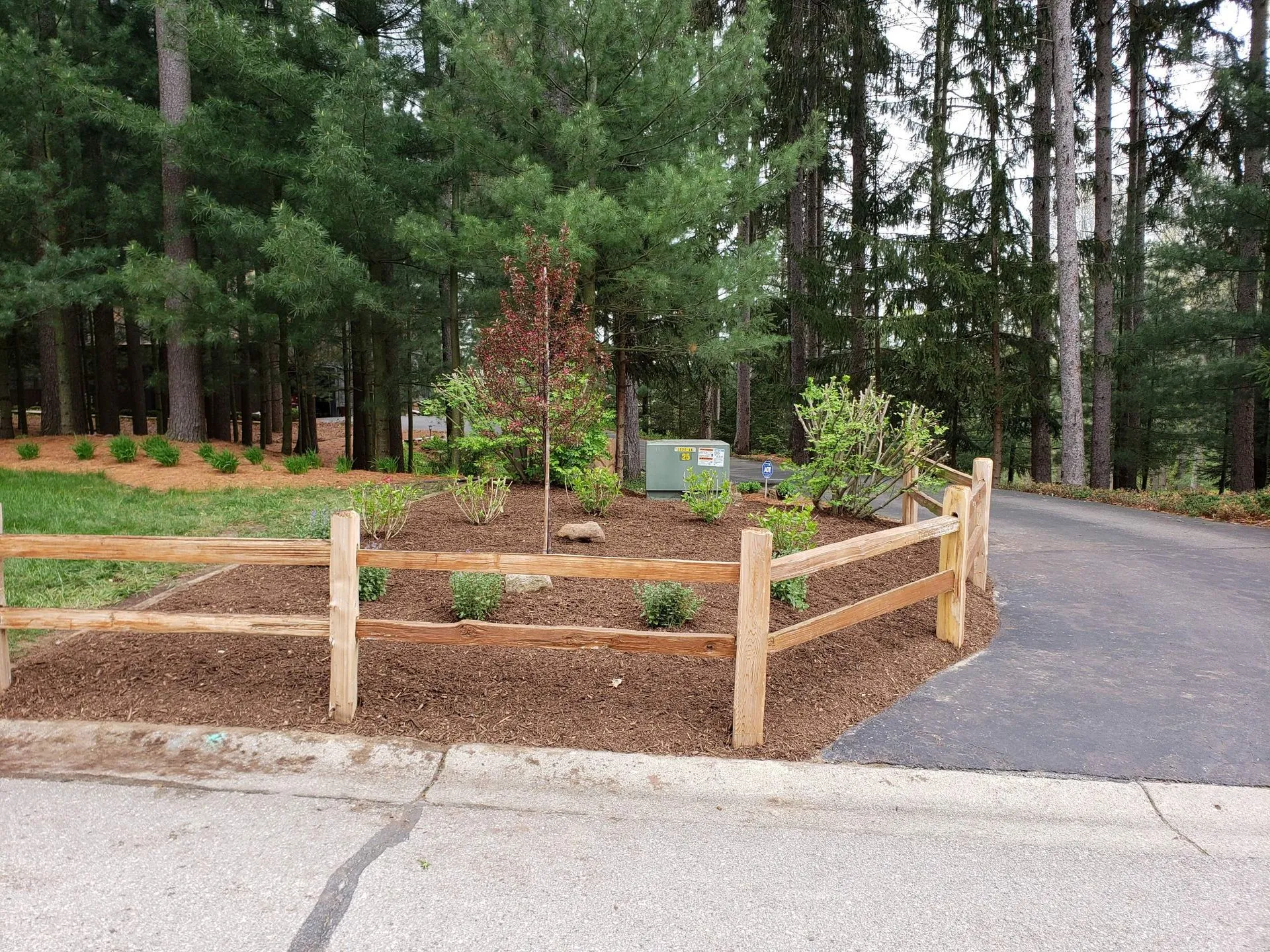 Newly planted trees and layered beds on a designed Milan landscape